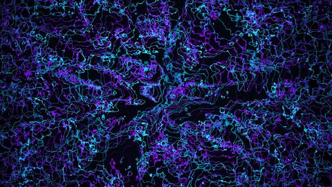 Abstract Bioluminescent Deep Sea Fibers