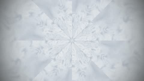 Abstract Symmetric Frozen Smoke Patterns