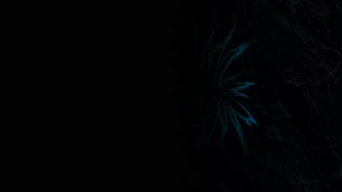 Abyssal Thorn Bloom Horizontal 30fps