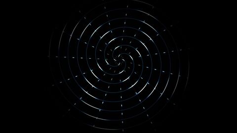 Bio Spider Neural Web Horizontal