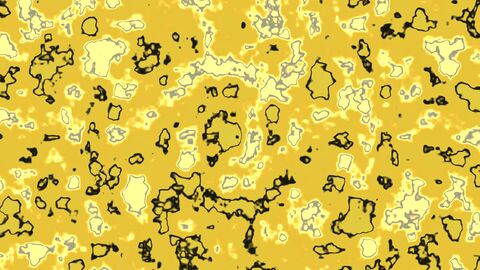 Biomass Movement under Microscope No