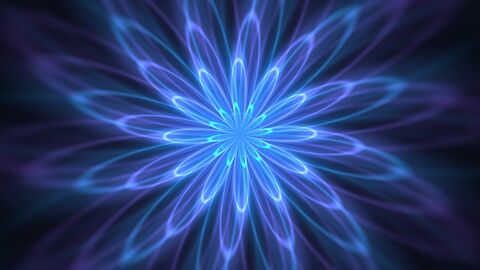Circular Energy Petal Bloom Loop