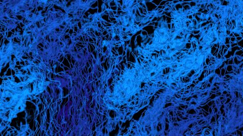 Dark Midnight Topographic Morphing Contour