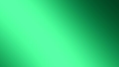 Deep Emerald Forest Mist Motion