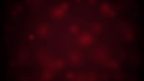 Dense Red Velvet Bokeh and