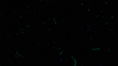 Elegant Futuristic Binary Nodes Background