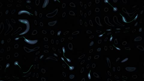 Elegant Organic Data Network Background
