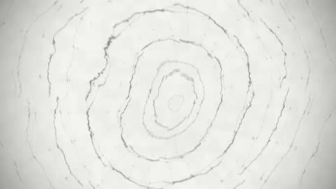 Elegant Paper Ripple Circuit Bloom