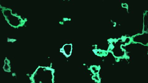 Emerald Electric Veins Abstract Green