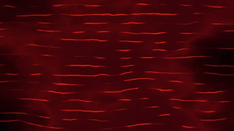 Enchanted Grimoire Blood Red Magic