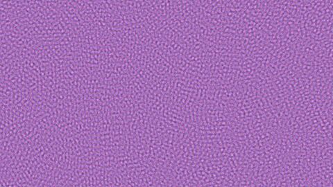 Full Bright Pop Halftone Overflow