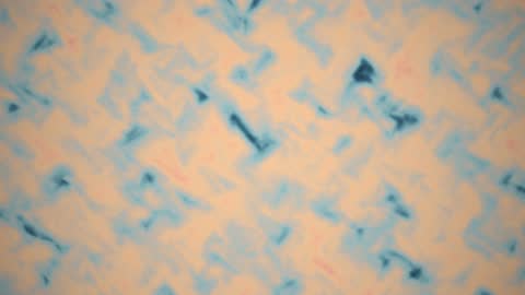 Holographic Crystal Refraction Flow Horizontal