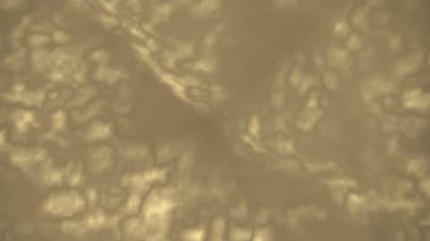 Imperial Gold Marble Horizontal 30fps