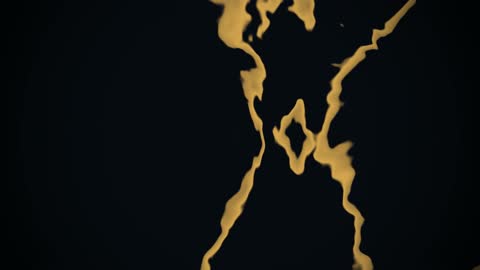 Luxury Dark Obsidian and Golden