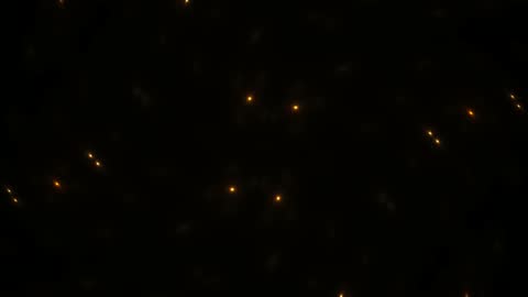 Luxury Golden Galaxy Stellar Fractal