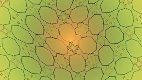 Massive Golden Star Net Horizontal