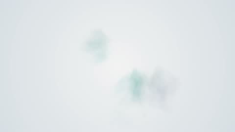 Minimalist Studio Powder Splash Horizontal