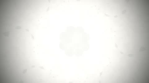 Minimalist White Cardboard Floral Fractal