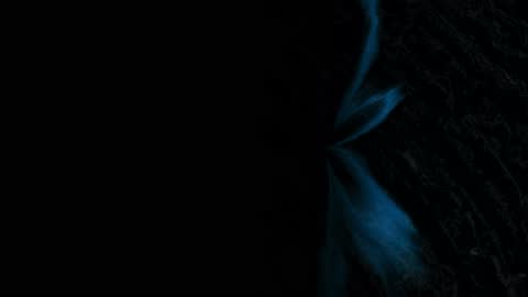 Nocturne Vein Drift Horizontal 30fps