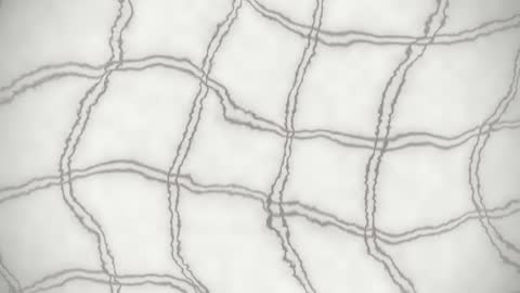 Paper Fiber Wave Grid Pulse