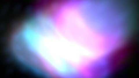 Pop Organic Arcade Bloom Field