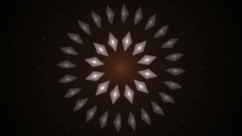 Premium Floral Geometry Horizontal 30fps