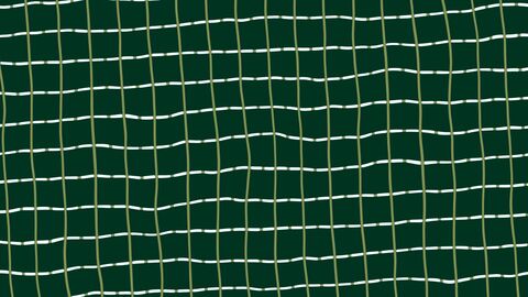 Pulsing Digital Circuit Board Horizontal