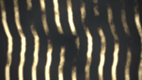 Vertical Gold Lamination Horizontal 30fps